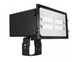 Trunion Flood Light - AFLL206 Series